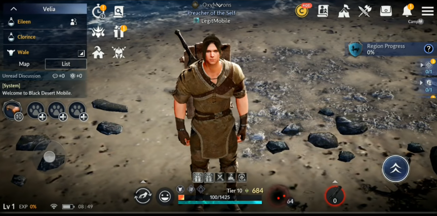 Black Desert is a massively multiplayer online game where players